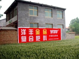 宁化如何让墙体广告展现最大化效果