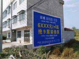 宁化墙体广告质量分析