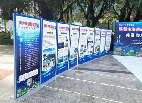 宁化KT板的种类和知识。